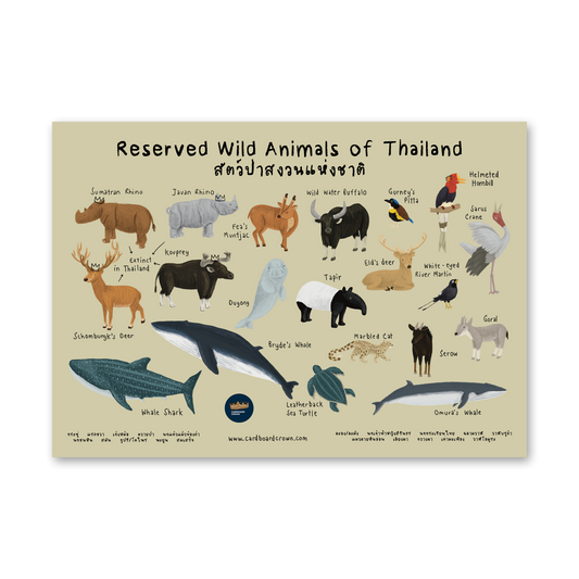 Reserved Wild Animals of Thailand Poster