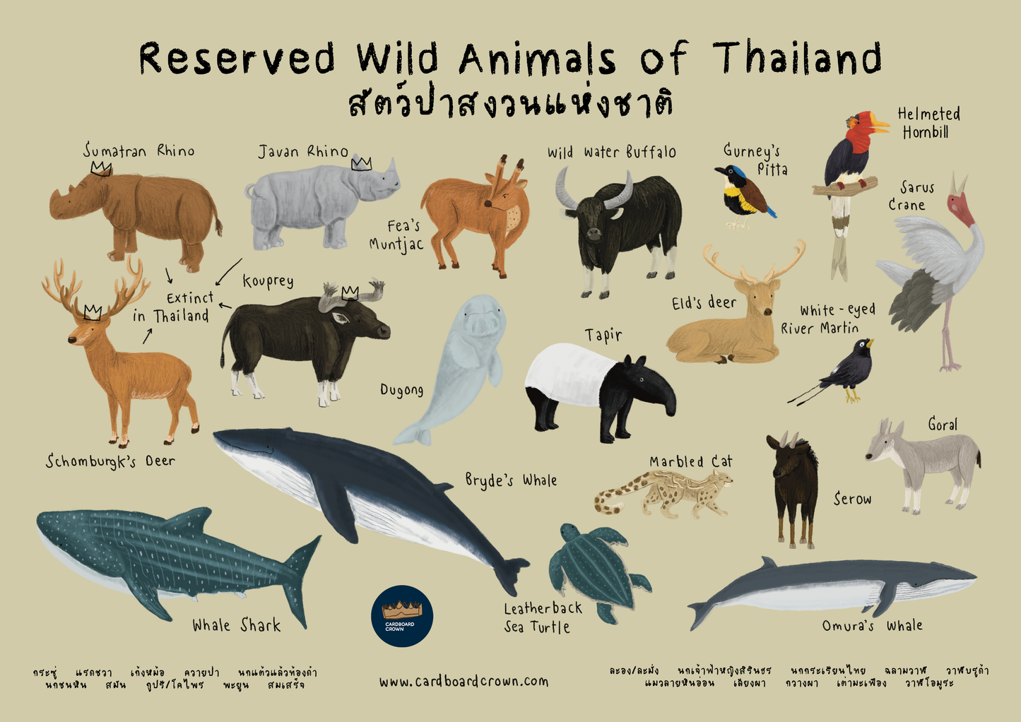 โปสเตอร์สัตว์สงวนแห่งชาติของประเทศไทย